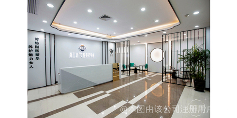 上海拾羽網絡科技 創新驅動的數字未來構建者